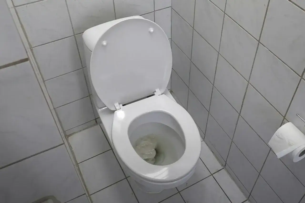 En vit toalett med öppet lock, där det syns något som orsakar stopp i toaletten. En rulle toalettpapper hänger på väggen.